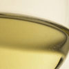 Sauvignon Blanc