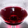 Merlot